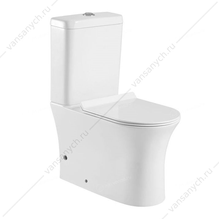 CL-12249B Унитаз безободковый Aquanet Rimless Roll-C сиденье микролифт Aquanet (Россия) купить в Тюмени (Ван Саныч™)