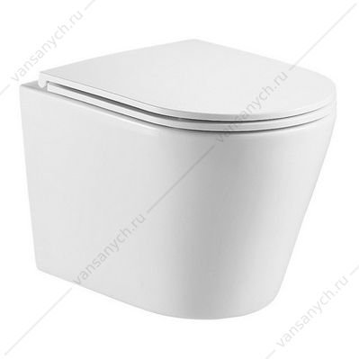 00081020 Унитаз безободковый смыв ТОРНАДО с сидением микролифт, быстросъем Azario Teramo антивсплеск подвесной AZ-0053-UQ AZARIO (Россия/Китай) купить в Тюмени (Ван Саныч™)